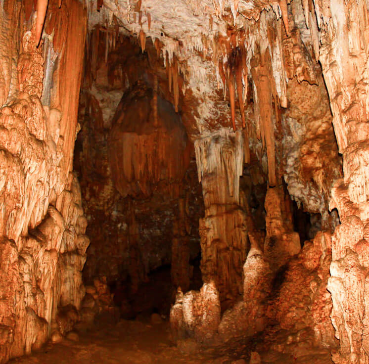 Bosque de Guajataca, Isabela