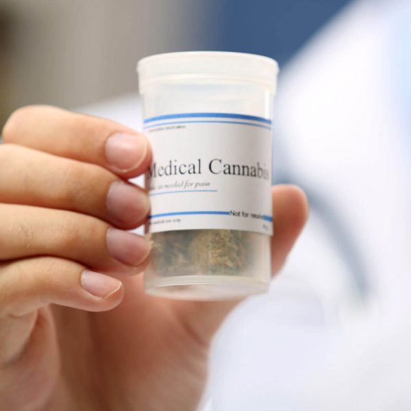 Cannabis, cáncer y manejo del dolor