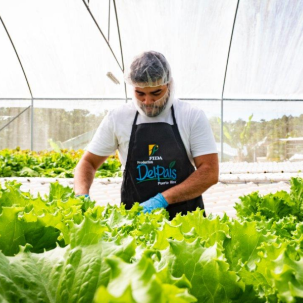 Without access to food, we cannot talk about health