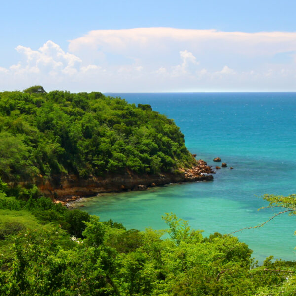The Best Hiking Trails in Puerto Rico