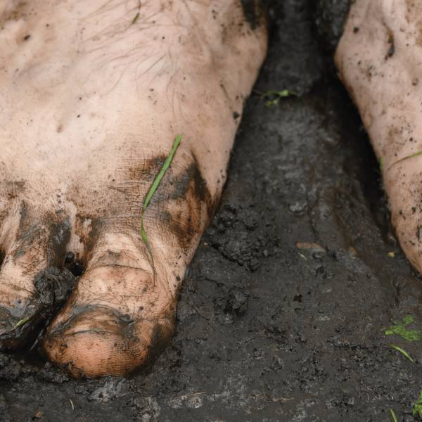 ¿Conoces qué es la melioidosis?