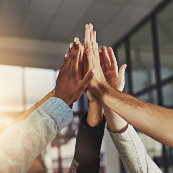 Inclusion in Your Business