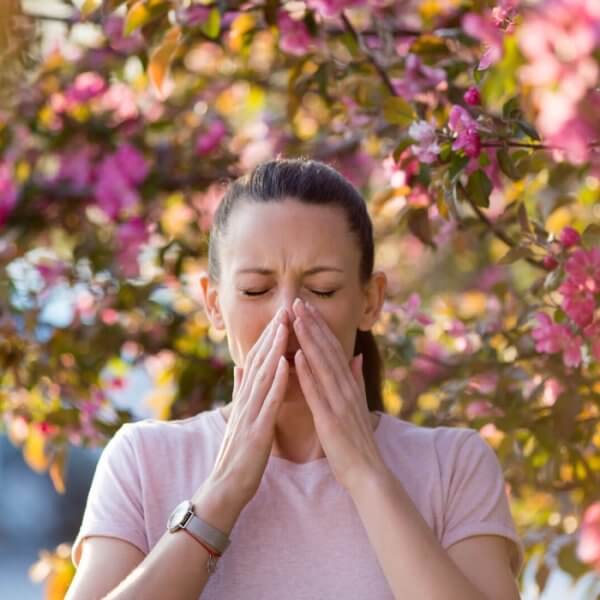 The Saharan Dust and Your Allergies