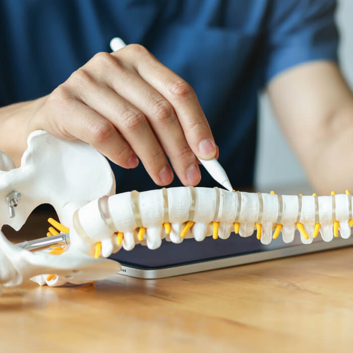 Quiroprácticos y Postura: Aliados en la Salud Musculoesquelética